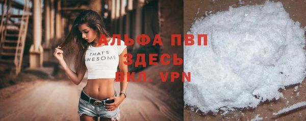 таблы Бородино