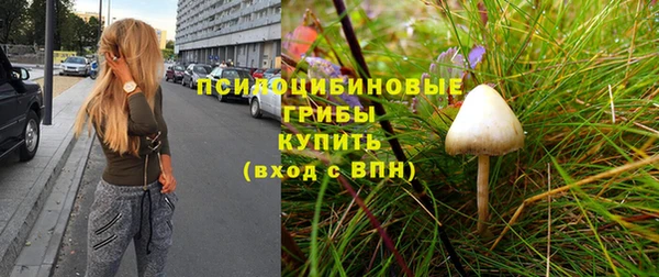 бутират Верея