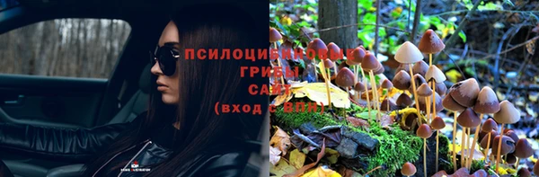 бутират Верея