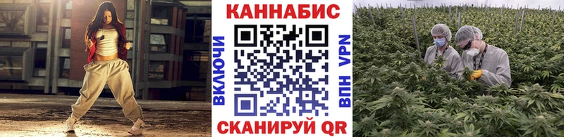 Шишки марихуана планчик  Георгиевск 